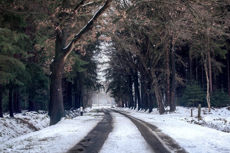 Eine graue Waldstraße im Winter
