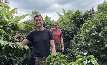 Bio-Kaffee-Plantage in der Nähe von Salento